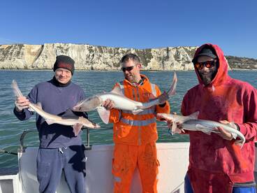Dover Report Photo 1