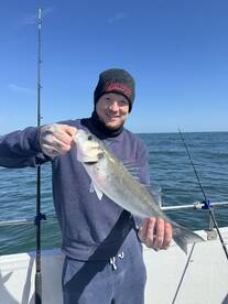Dover Report Photo 2