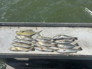 Good times and tight lines!