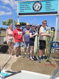 Haleiwa Report Photo 1