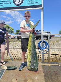 Haleiwa Report Photo 2