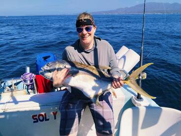 Puerto Vallarta Report Photo 2