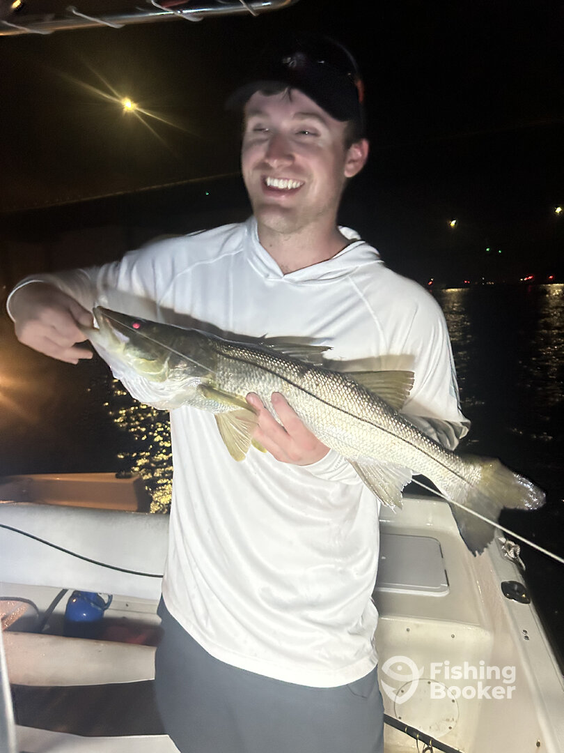 Punta Gorda Report Photo 0