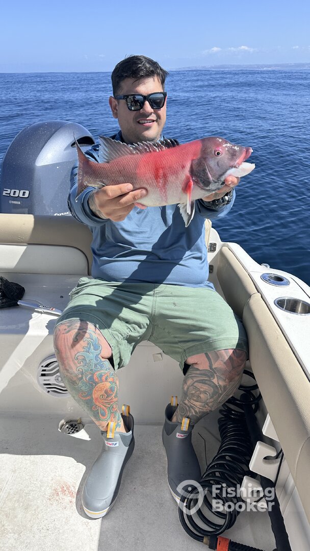 San Diego Report Photo 0
