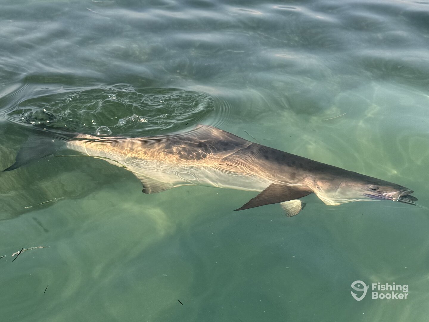 Key West Report Photo 0