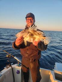 Primošten Report Photo 3