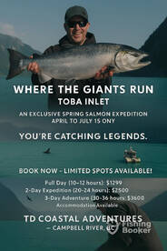 Spring Tyee Chinook Salmon Charter 