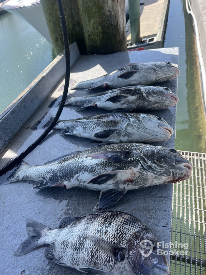 St. Augustine Report Photo 0