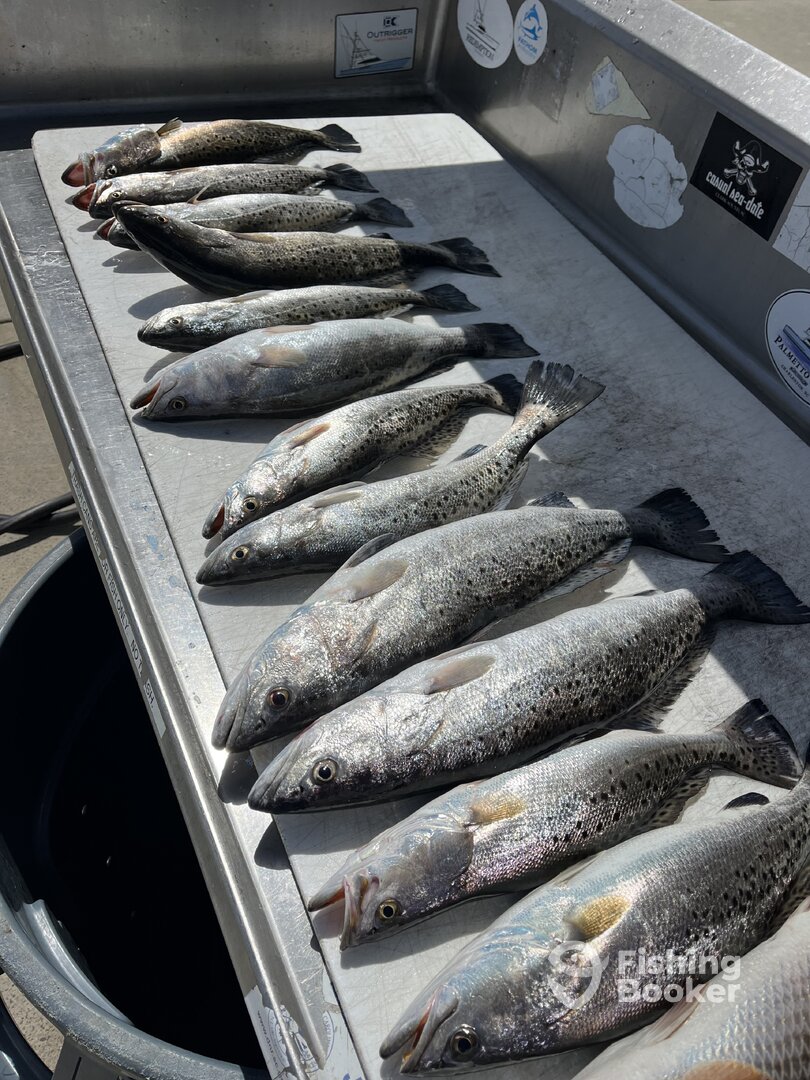 Charleston Report Photo 0