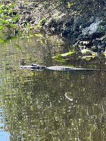 Fort Lauderdale Report Photo 2