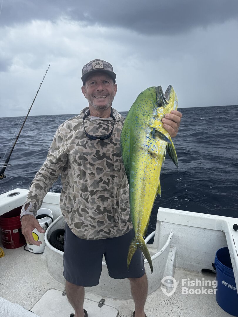Dania Beach Report Photo 0