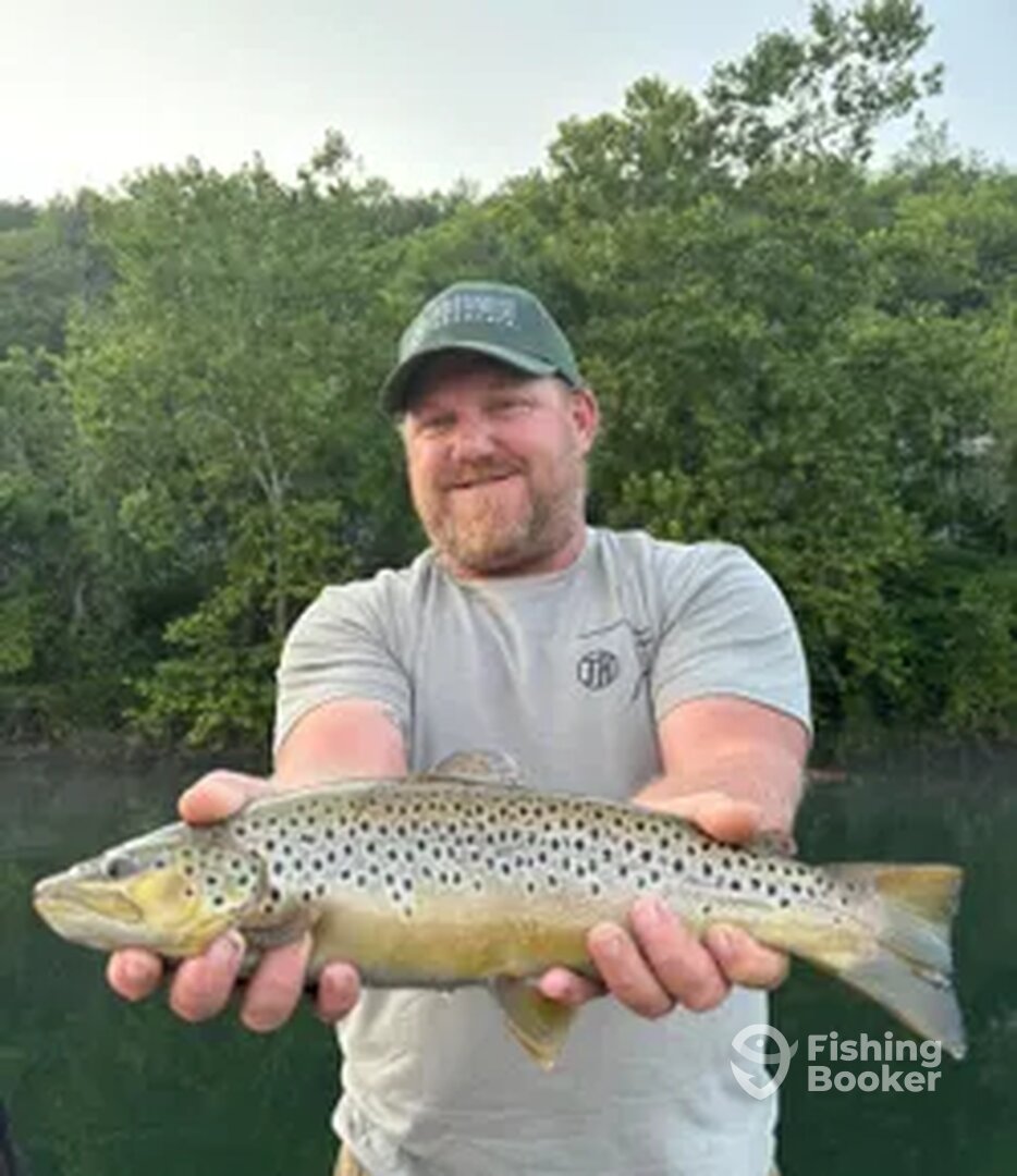 Branson Report Photo 0