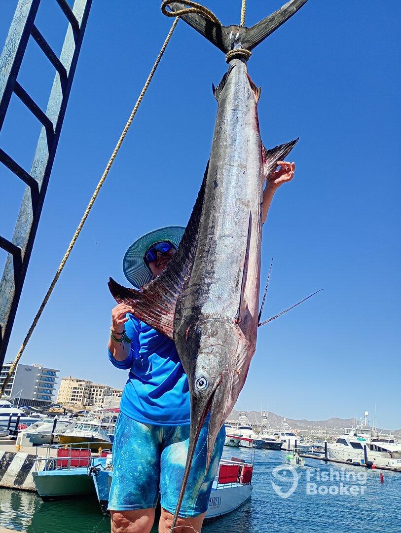Cabo San Lucas Report Photo 0