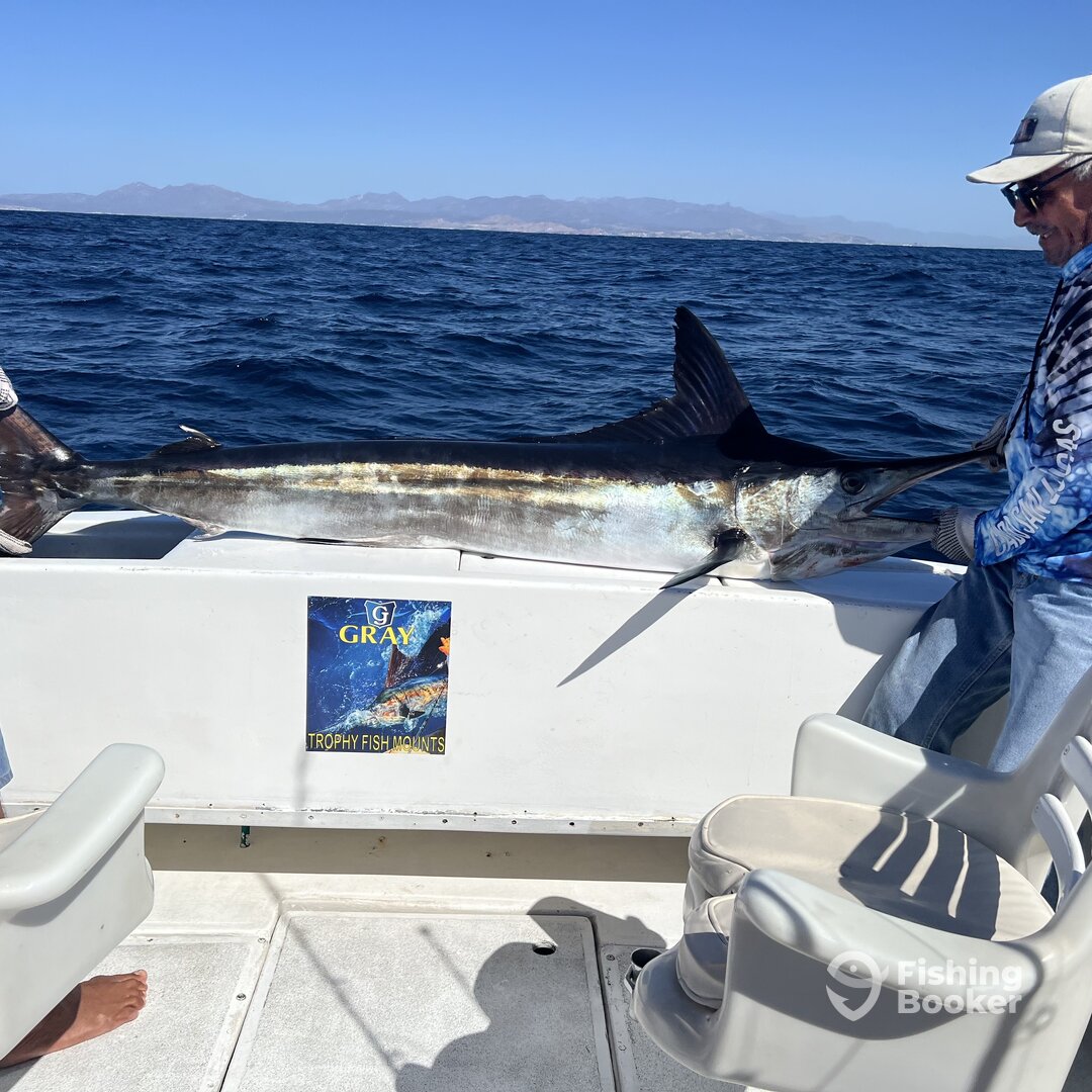 Cabo San Lucas Report Photo 0