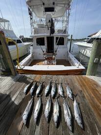Morehead City Report Photo 2