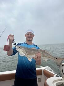 Galveston Report Photo 1