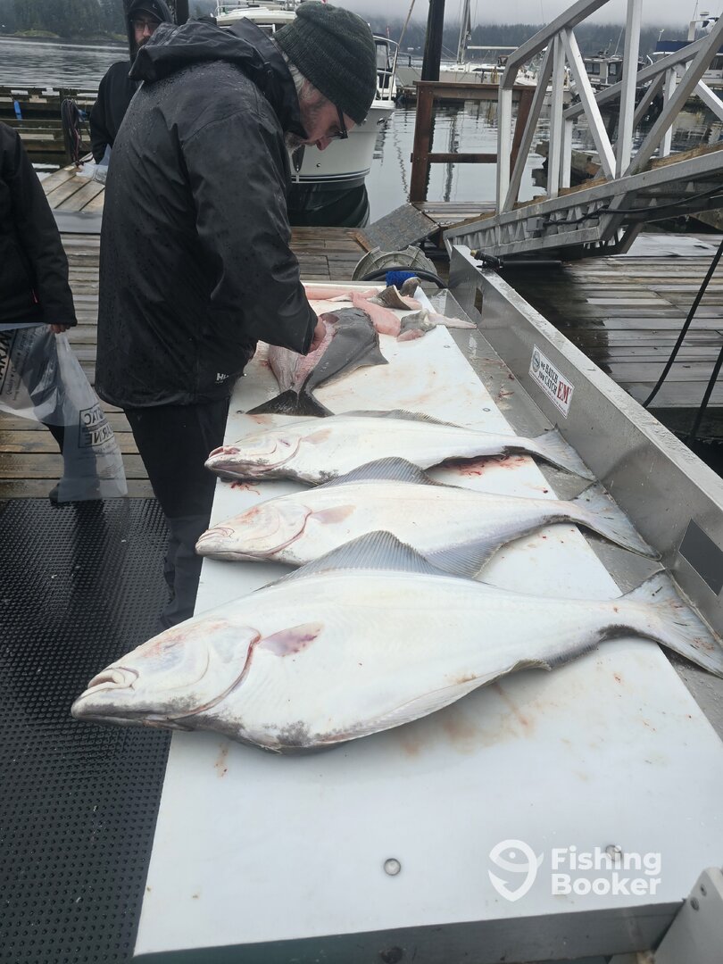 Sooke Report Photo 0