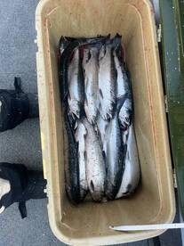 Another amazing morning on the lake!