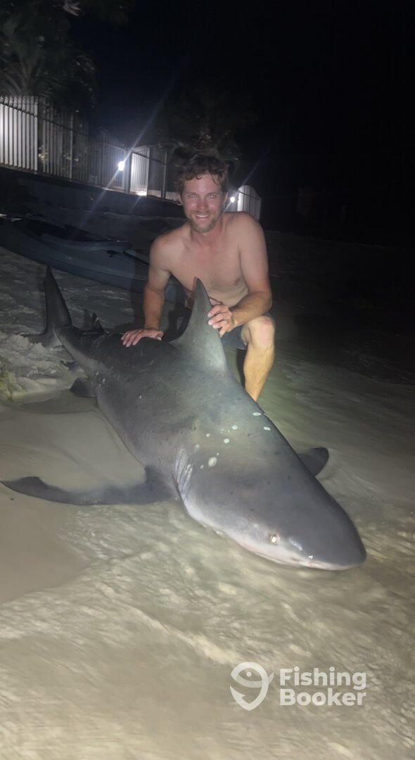 Anna Maria Report Photo 0