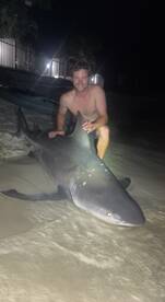 Anna Maria Report Photo 1