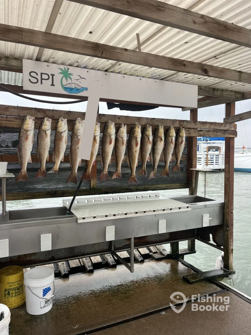 South Padre Island Report Photo 0