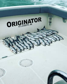 Great Coho Salmon fishing right now!