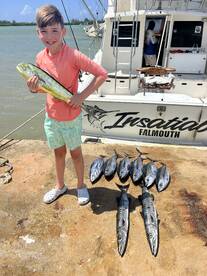Tuna Alert!
