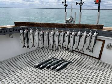 Winthrop Harbor Report Photo 4