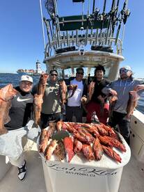 Great fishing in our local waters 