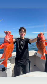 Great fishing local and island 