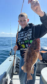 Wide open good quality rockfish 