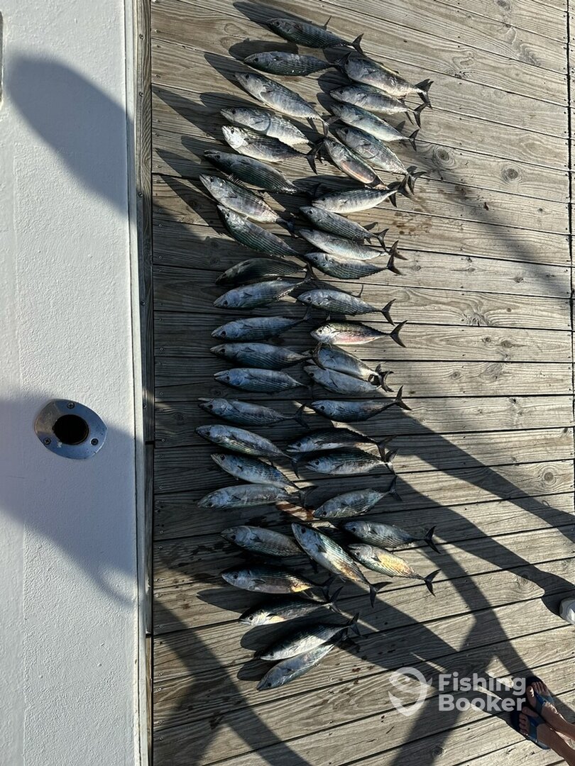 North Myrtle Beach Report Photo 0