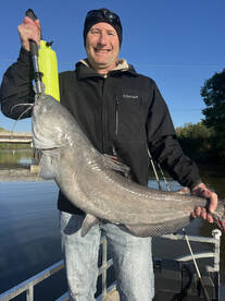 Clover Report Photo 2