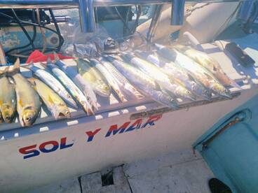 Puerto Vallarta Report Photo 2