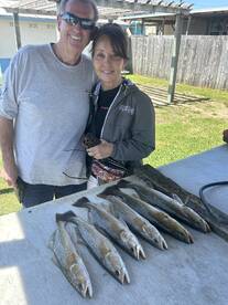 Reeling in exciting Catches of Trout