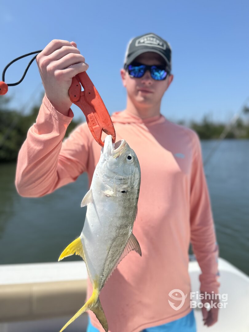 Cape Coral Report Photo 0