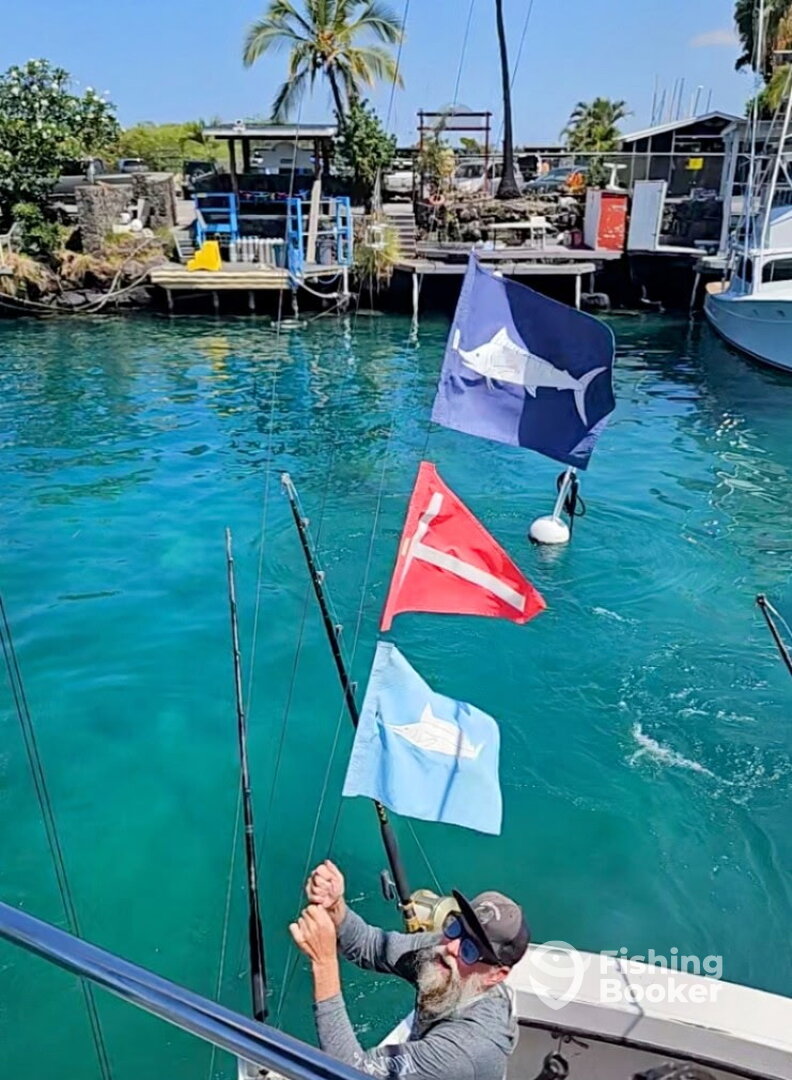 Marlin & Spearfish