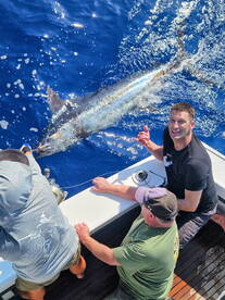 Blue Marlin release