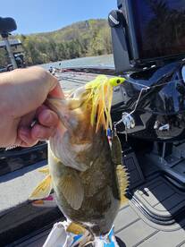 SPRING DAY ON TABLEROCK 