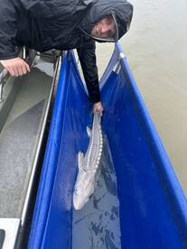 Spring time fishing is in full swing  