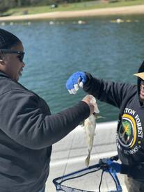 Lake Lanier Spotted Bass Blitz