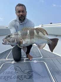 Shaviyani Expedition April 2025