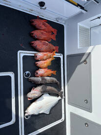 Ucluelet Report Photo 1