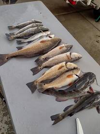 Goose Creek Report Photo 2