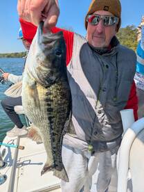 Spotted bass adventure 