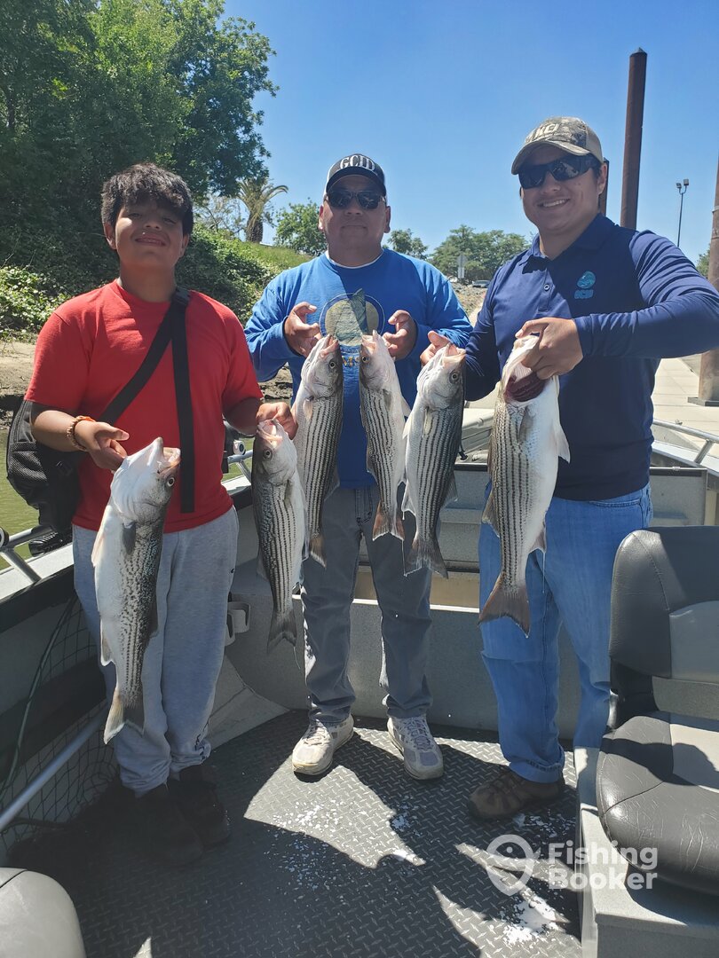 Feather River Report Photo 0