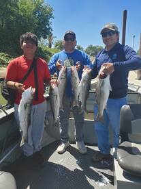 Sacramento River Report Photo 2