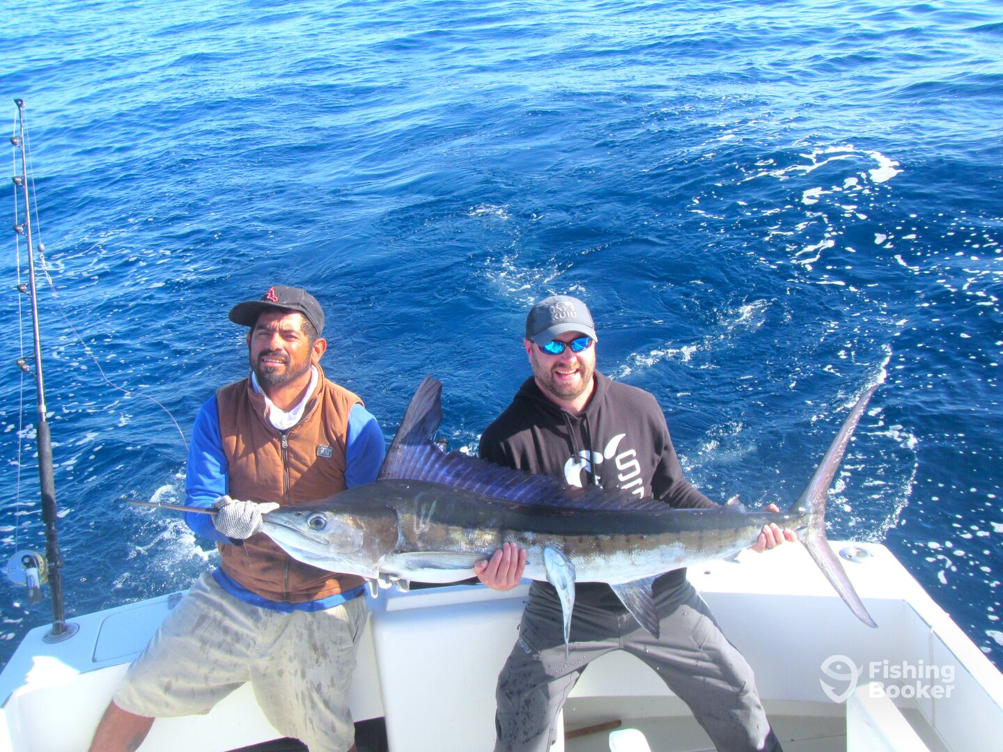 Cabo San Lucas Report Photo 0
