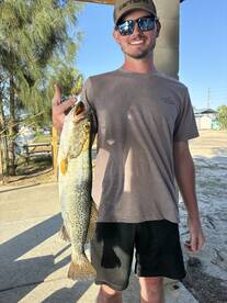 Giant trout have arrived!