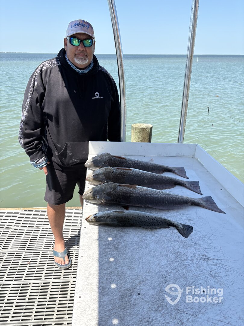 South Padre Island Report Photo 0